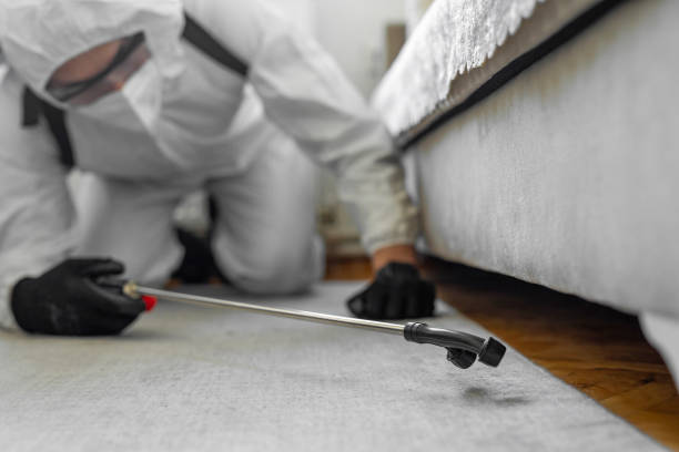 Professional Emergency Pest Control technician working in New Castle Northwest, PA