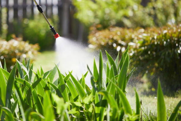 24/7 Emergency Emergency Pest Control experts in New Castle Northwest, PA