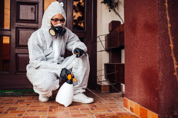 Reliable Emergency Pest Control contractor in New Castle Northwest, PA by Nex Pest Control